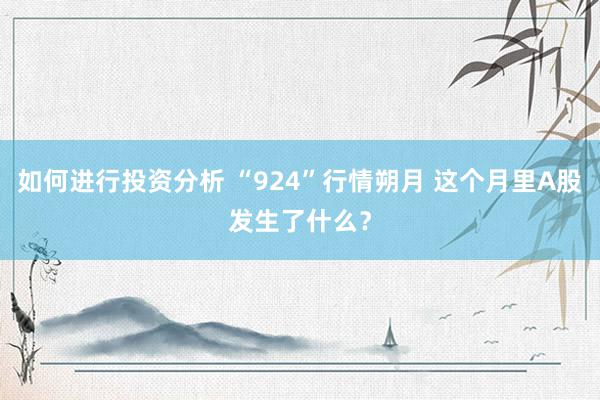 如何进行投资分析 “924”行情朔月 这个月里A股发生了什么？