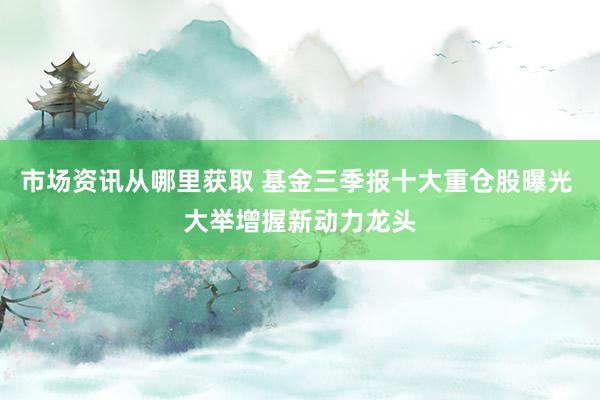 市场资讯从哪里获取 基金三季报十大重仓股曝光 大举增握新动力龙头