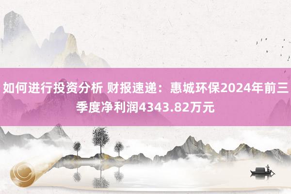 如何进行投资分析 财报速递：惠城环保2024年前三季度净利润4343.82万元