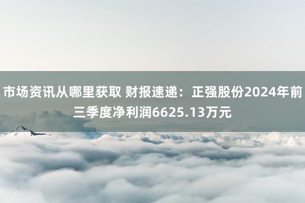 市场资讯从哪里获取 财报速递：正强股份2024年前三季度净利润6625.13万元