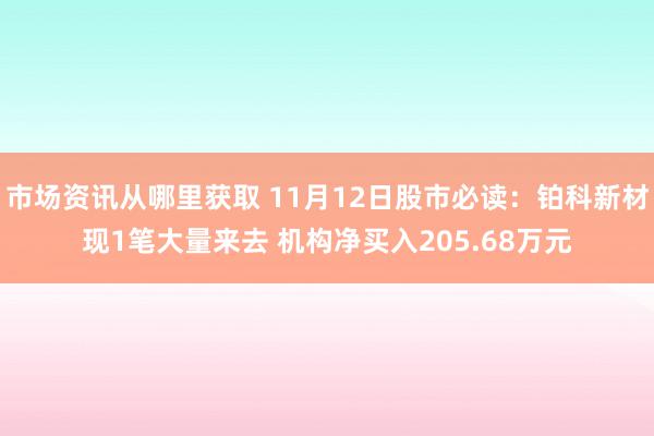 市场资讯从哪里获取 11月12日股市必读：铂科新材现1笔大量来去 机构净买入205.68万元