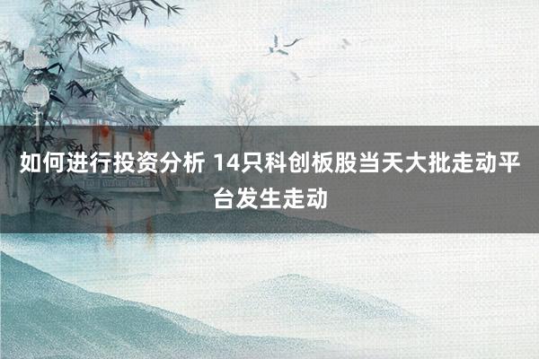 如何进行投资分析 14只科创板股当天大批走动平台发生走动