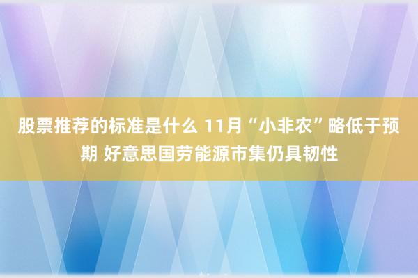 股票推荐的标准是什么 11月“小非农”略低于预期 好意思国劳能源市集仍具韧性