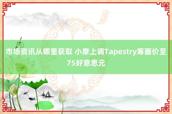 市场资讯从哪里获取 小摩上调Tapestry筹画价至75好意思元