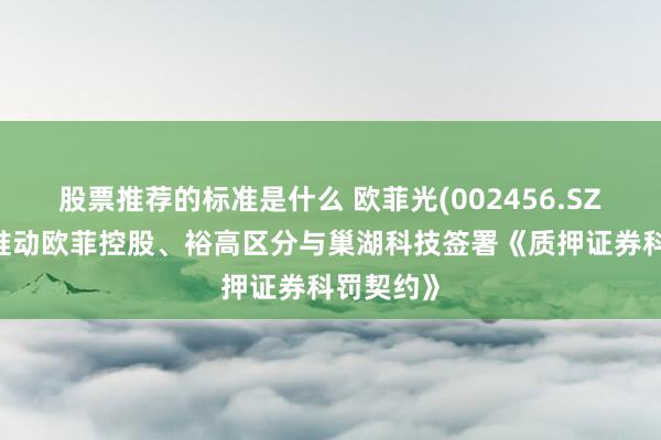 股票推荐的标准是什么 欧菲光(002456.SZ)：控股推动欧菲控股、裕高区分与巢湖科技签署《质押证券科罚契约》