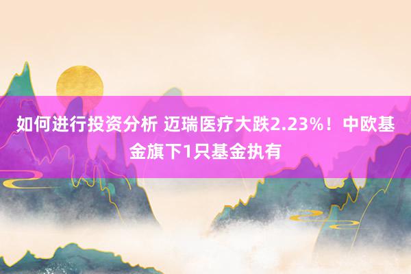 如何进行投资分析 迈瑞医疗大跌2.23%！中欧基金旗下1只基