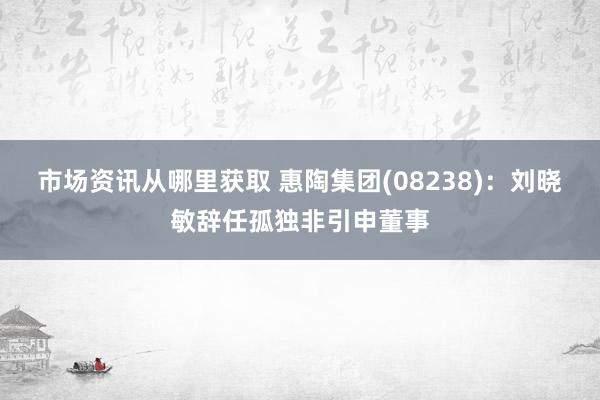 市场资讯从哪里获取 惠陶集团(08238)：刘晓敏辞任孤独非