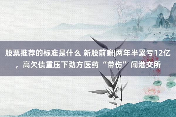 股票推荐的标准是什么 新股前瞻|两年半累亏12亿，高欠债重压