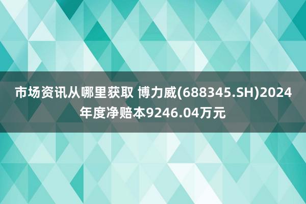 市场资讯从哪里获取 博力威(688345.SH)2024年度净赔本9246.04万元