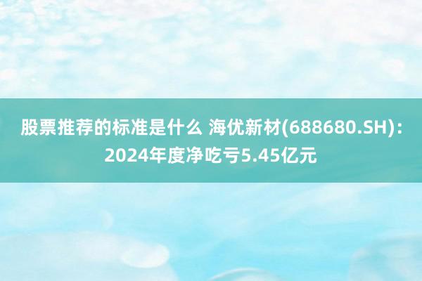 股票推荐的标准是什么 海优新材(688680.SH)：2024年度净吃亏5.45亿元