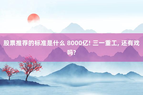 股票推荐的标准是什么 8000亿! 三一重工, 还有戏吗?