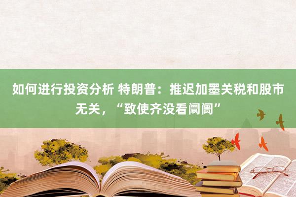 如何进行投资分析 特朗普：推迟加墨关税和股市无关，“致使齐没看阛阓”