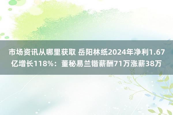 市场资讯从哪里获取 岳阳林纸2024年净利1.67亿增长11