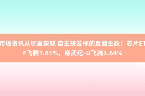 市场资讯从哪里获取 自主研发标的反回生跃！芯片ETF飞腾1.